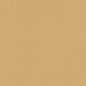 fTDS True Color Caramel Matt RT 50x120 FAP Ceramiche
