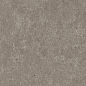 Scs Spectra Moshroom 5,8х25 Simpolo Ceramics