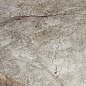 Rain Forest Natural Pulido 60x120 Keratile