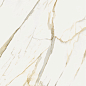 600010002387 Stellaris Calacatta Gold Nat Ret 120x120 Italon