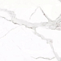 Venato Bianco Glossy 60x120 Art Ceramic