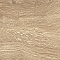 S22A02 Forest honey slim rec 22x120 Fanal