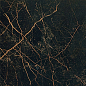 240013 MARBLE NERO S.LAURENT RETTIFICATO LAPPATO 58,5x58,5 Versace (Gardenia Orchidea)