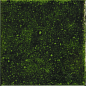 A041643 Genuine Emerald 10x10 Ape Ceramica