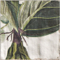 DECOR PROTEA 20x20 Mainzu