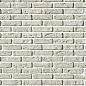 А320-00 Эллинбрик 19x4.7 White Hills