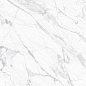 GP40PEG15R Pegas Silver sugar 600x600x9.5 AltaCera