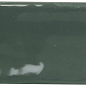 002484 Artisan Green Bottle 5x15 Monopole Ceramica