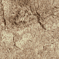 Mattone Pietra Beige 7 mm 24x6,5 Paradyz фото в миниатюре
