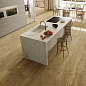 Heartwood Atlas Concorde