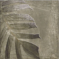 Tahiti Natural 20x20 Mainzu
