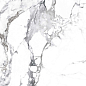 CR4006-A Borghini Silver Carving 60x60 Arcadia Ceramica