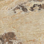 765412 Onyx&More Golden Blend Glossy Ret 80x180 Casa Dolce Casa