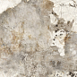 N20637 Patagonia Polished 80x160 Neodom