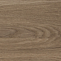 41729 Bloom Cognac SP/24x151x0,9/R 24x151 Peronda