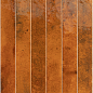 31551 Bali Ginger 5x40 EQUIPE