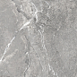 D60260M Wild Dark матовый 600x600x9.5 New Trend