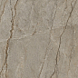 MN327AYD121209 Wild Forest Matt 9mm 120x120 Moreroom Stone