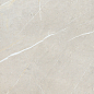 BB6NTT9101P Bright And Shiny 60x60 NT Ceramic