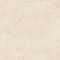 NR242 Vela Beige Матовый 60x120 PrimaVera
