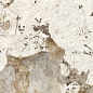 N20637 Patagonia Polished 80x160 Neodom