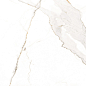 Calcatta White Carving Rectificado 60x120 Nice Ceramic