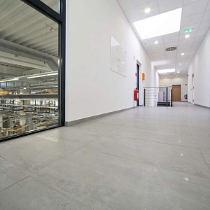 Beton Apavisa Porcelanico