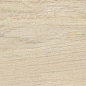 38601 Lenk Maple AS/24X151X0,9/C/R 24x151 Peronda фото в миниатюре 35