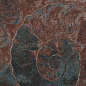FM3333 Fossil Mix 33х33 Serapool