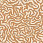 4101189 Nok Snake Terra 120x120 41ZERO42