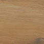 Leccio Oliato Ret 20x120 Serenissima Cir