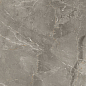 83336 Sybil Silver Rettificato 60x60 Cerdomus фото в миниатюре 3
