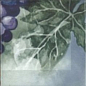 Monocolor Composicion Acuarela Uvas 20х40 Absolut Keramika