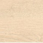 ENWD1051SR20120 Norway Ivory Matt Relief 120x20x0.9 Ennface
