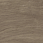R4ME Woodessence Brown R9 10x70 Ragno Marazzi