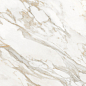 FP1006-A Calacatta Oro 60x120 Arcadia Ceramica фото в миниатюре