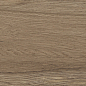 41729 Bloom Cognac SP/24x151x0,9/R 24x151 Peronda