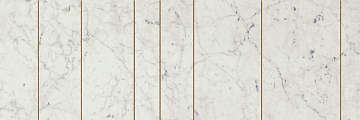 600080000369 Charme Extra Carrara Ins Golden Line 25x75 Italon