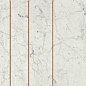 600080000369 Charme Extra Carrara Ins Golden Line 25x75 Italon