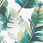 WT93BAB55 Barbados 300x900x10,5 Delacora