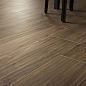 Atlan King Star Ceramic