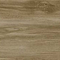 Alessandria Camel 19.5x120 Prissmacer