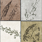 GT234VG Delia Мультиколор 30x60 Global Tile