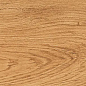 B71032 Feelwood Cognac Ret 20x120 Bottega