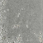 A041177 Pukka Cloud 6,4x26 CARMEN