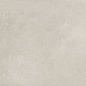 NP_P0015 Delishn fog 60х60 Creto