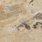 765405 Onyx&More Golden Blend Satin Ret 80x180 Casa Dolce Casa
