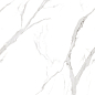 900 Statuario Fantastico 120x60 Artcer