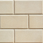 Палермо 01 рядовая 400х200х23 Ecostone