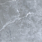 GRS02-16 Petra Northern Silver 60x60 Gresse